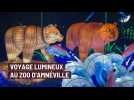 Festival Luminescences : un voyage lumineux au zoo d'Amnéville
