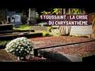 Toussaint : la crise du chrysanthème