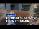 Le forum du bien-être équin et humain, parlons-en !