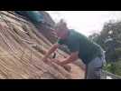 Valéry, chaumier, en chantier sur le toit d'une chaumière à Wormhout