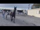 Hippodrome de Laon.
