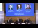 US trio win Nobel Economics Prize for research on banks, financial crises