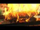 Damien Hirst brûle ses peintures dans sa galerie londonienne