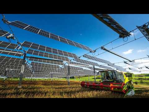 French farmers are covering crops with solar panels to produce food and energy at the same time