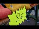 Inflation : Coulaines organise sa première foire aux pulls