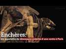 Enchères: Un squelette de dinosaure vedette d'une vente à Paris