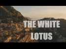 TV series show: More trouble in paradise at 'The White Lotus'