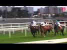 Toulouse : une course exceptionnelle avec sept chevaux arabes sponsorisée par un festival d'Abu Dhabi à l'hippodrome