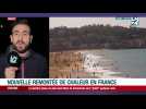 Farid prend le temps: nouvelle remontée de chaleur en France