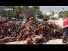 Face à la crise énergétique, la Grèce distribue du bois de chauffage aux habitants