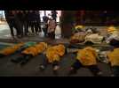 Dozens of cardiac arrests at Seoul Halloween gatherings: fire brigade