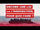 Encore une loi sur l'immigration, pour quoi faire ?