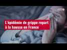 VIDÉO. L'épidémie de grippe repart à la hausse en France