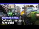 Des agriculteurs manifestent contre les restrictions des pesticides à Paris