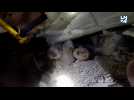 Séisme: un jeune garçon est extirpé des décombres d'un bâtiment effondré en Syrie