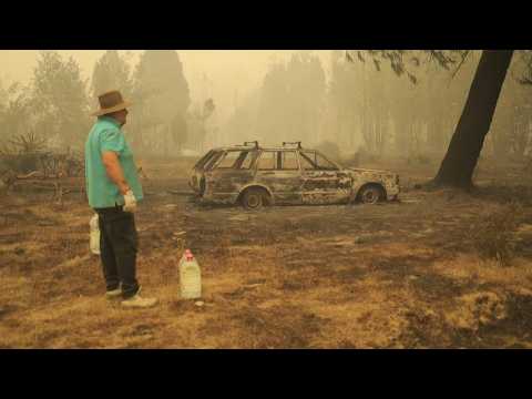 Smoke engulfs towns, Chileans inspect damage amid deadly forest fires