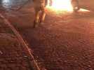 Incendie à Marcinelle : la police a ouvert une enquête