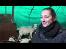 Rencontre avec Linda et Patrick qui travaillent à chèvrerie de l'association Espoir avenirà la chévrerie