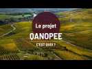 C'est quoi le projet Qanopee, près d'Épernay ?