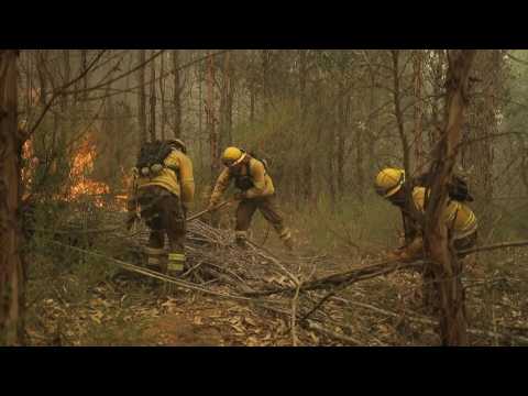Chile's emergency services battle deadly forest fires