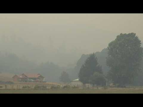 Cloud of smoke engulfs fields as deadly Chile forest fires continue