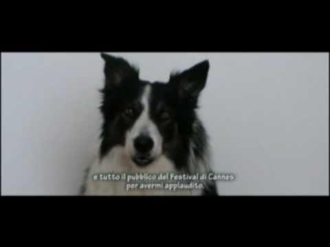 Vuk accepts his Palme dog prize for Le Quattro Volte