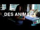 Film Socialisme UK trailer HD