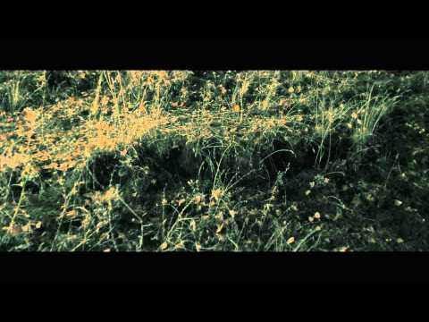 Once Upon a Time in Anatolia - Trailer