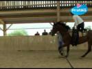 Equestrian Vaulting - How to do a side Y