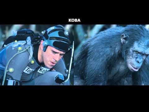 Dawn of the Planet of the Apes | Ape Evolution | Official HD Clip