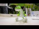 Vidéo Zoomer Dino à Kidexpo Vidéo Zoomer Dino à Kidexpo