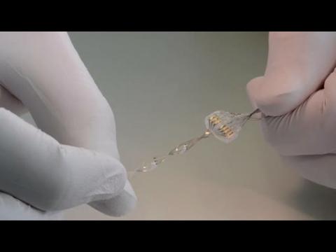 Stretchy spinal implant presents new paralysis treatment