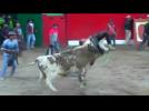 Three gored in Peruvian bull run
