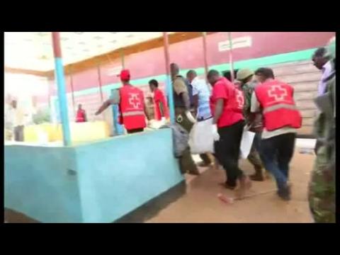 Al Shabaab gunmen kill 14 in attack on Kenyan workers