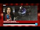 #BREAKING - Rosetta mission: Philae probe makes historic landing on comet