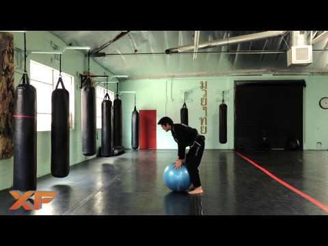 XF Jiu Jitsu and MMA Basics: Stability Ball Mount Exercise