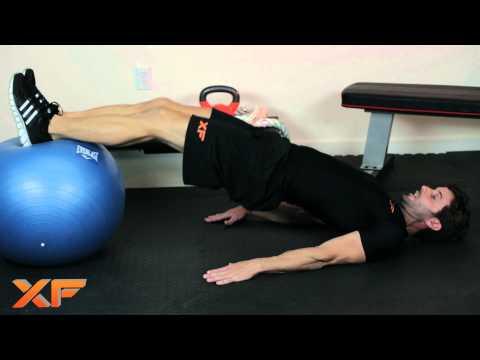 Hamstring Curl by XF