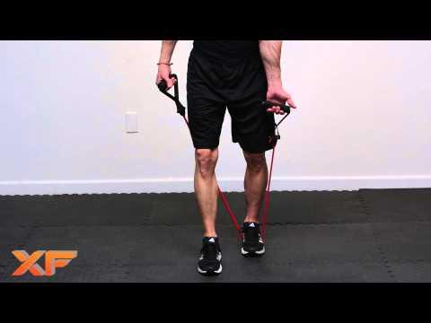 Bicep Tricep Circuit by XF