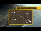 WALKING WITH DINOSAURS: THE 3D MOVIE -  FUN FACTS "THOUSANDS OF DINOS"