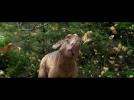 Walking with Dinosaurs: The 3D Movie - "Build a Dino" Featurette