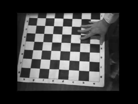 COMPUTER CHESS (Alternative Fan Trailer) (Masters of Cinema)