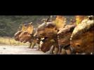 Walking With Dinosaurs: The 3D Movie - "Behaviour" Featurette