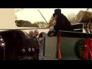 White House Christmas Tree arrives by horse-drawn carriage