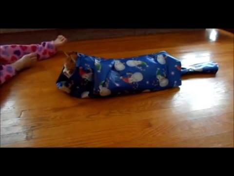 Tuto : comment emballer son chat dans du papier cadeau