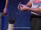 Faire de la nanotechnologie avec... un simple mixer - Label : Sciences et Avenir vidéos - Category : Science