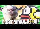 Vido Funtage : La Chvre Folle ! Goat Simulator