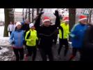 A 'goose run' in Berlin to burn off that holiday cheer