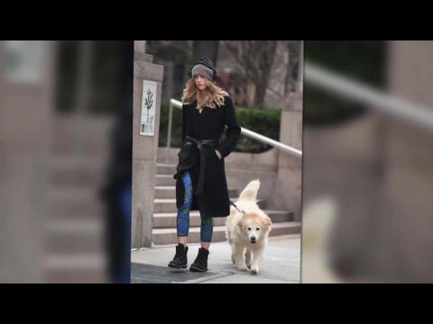 VIDEO : Supermodel Suki Waterhouse Takes Bradley Coopers Dog For And Early Morning Stroll