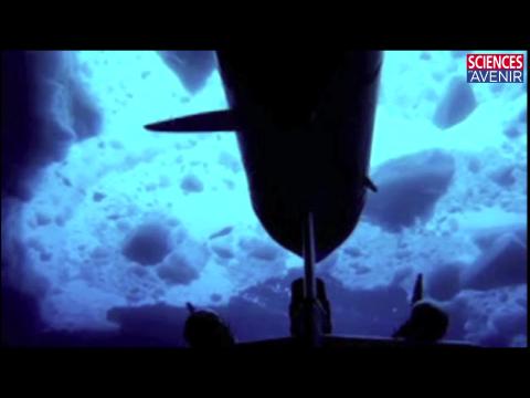 NATURE. La banquise antarctique s'épaissit