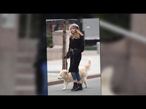 VIDEO : Le mannequin Suki Waterhouse sort le chien de son petit-ami Bradley Cooper